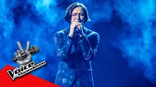 Ibe - 'Someone You Loved' | Finale | The Voice Van Vlaanderen | VTM