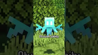 Pomysły, które mogą być w Minecraft ZAMIANA ALLAY W VEXY #shorts