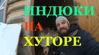 ВЫРАЩИВАНИЕ ИНДЮКОВ // МОЙ ОПЫТ // ЖИЗНЬ НА ХУТОРЕ