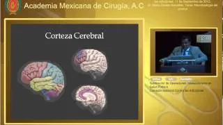 Neurobiología del alcohol-Dr. Mario Zavala González-11Sep2012