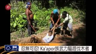 巴西Ka'apor族護家園 武力驅趕伐木者 2014-09-18 TITV 原視新聞