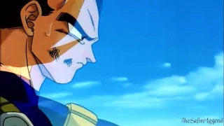 Vegeta Respond To Goku's Death