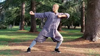 Shaolin Kung Fu Class 14: Ba Duan Jin