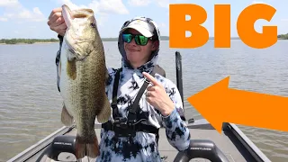 Summer BASS Fishing Is ON! (Livescope Bass Fishing)