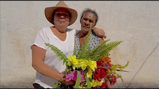 A TAL DA FRANGA NA CASA DA QUITANDA - PARTE 1 - SÃO THOMÉ DAS LETRAS -DISTRITO DE SOBRADINHO