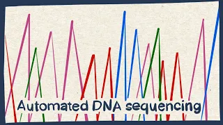 Automated DNA sequencing - Biology tutorial