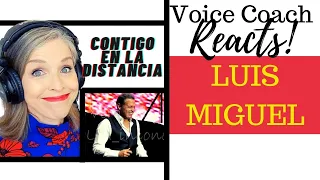 LUIS MIGUEL Buenos Aires 2/3/2019 Contigo en la distancia | Voice Coach Reacts & Deconstructs