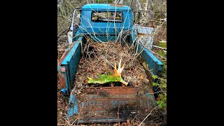 SHED HUNTING FOR MOOSE ANTLERS | Shed Tour 2020