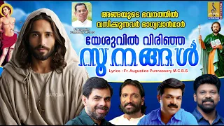 യേശുവിൽ വിരിഞ്ഞ സൂനങ്ങൾ | Full Track | Yesuvil Virinja Soonangal #christiansongs #jesus #yesu