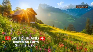 Gimmelwald Switzerland 🇨🇭 Swiss Village Tour 🌞 Most Beautiful Villages in Switzerland 4k video walk