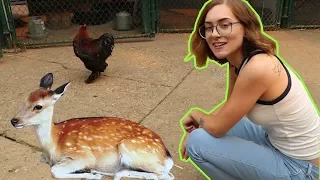 This girl can talk to animals