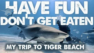 Have Fun...Don’t Get Eaten- My Trip To Tiger Beach 2024