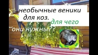 Необычные веники для коз- для чего они козам?