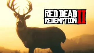 RDR2: Arthur Morgan Dream Meaning. (Wolf x Deer)