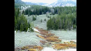 Part 1 Upper Dan Creek landscape painting with George Coll