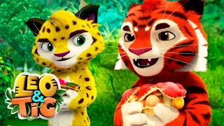 Leo & Tig - Episode 4 🐯 Autumn in Taiga | Super Toons - Kids Shows & Cartoons