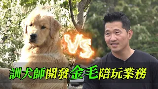 金毛在家無法無天，訓犬師陪狗老闆玩個痛快，順帶幫壓抑的主人放飛了自我