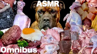 MUKBANG ASMR Dog eating Raw Meats!Omnibus 【American Bully】