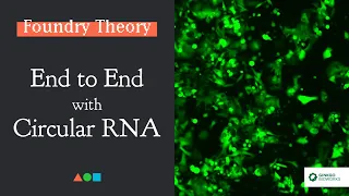 FT003  - End to End with Circular RNA