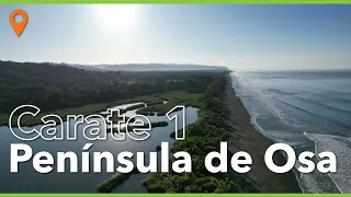 Carate, Península de Osa! Día #1