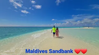 Sirf Movies Mein Dekha Tha..Dream Place   || Swim With Shark || Must Watch ❤ || Maldives 🇲🇻 Ep 5