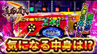 【P真・花の慶次3】これが好調台の挙動！？低投資から順調な展開でどうなる！？けんぼうパチンコ実践334