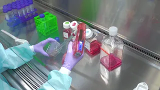 Passaging Cells: Cell Culture Basics