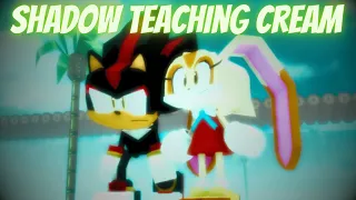 Shadow Teaching Cream How To Use a Gun | Sonic.EXE RP