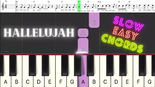 Hallelujah by Leonard Cohen. Easy tutorial. Synthesia