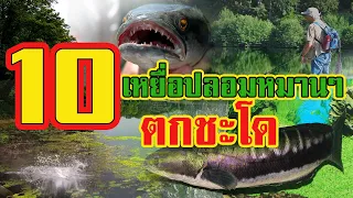 10 อันดับ |  เหยื่อปลอมหมานๆ | ตกชะโด |