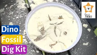 How To Make A DIY Dinosaur Fossil Dig Kit At Home Using Corn Starch | Dinosaurs For Kids | Easy DIY