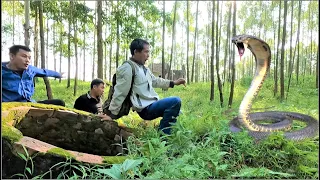 Terrified discovery of a giant cobra monster in an ancient well and a dramatic confrontation.