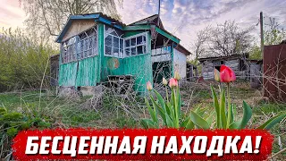 Оставили самое дорогое | Орловская обл. Должанский р/н деревни - Плотки / Выгон