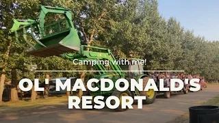 Ol’ MacDonald Resort on Buffalo Lake ⛺️| Alberta | Campground Reviews