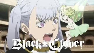 Magic Knight Teams! | Black Clover