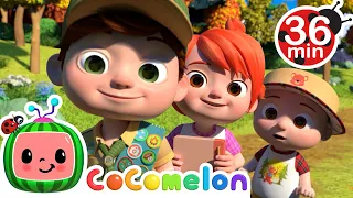 Nature Walk - @CoComelon  Kids Song | Classic Fable