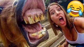 Best Funny Videos🤣 Try Not To Laugh🤣 Funny & Hilarious People's Life 😂#29