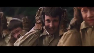 Harry Potter Mandrake Scene