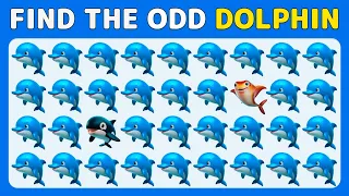 Find the ODD One Out | Sea World Edition 🦭🐠🌊| Easy, Medium, Hard 35 Levels Quiz | QuizyFox