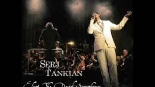 09. Serj Tankian ft. Auckland Phil - Honking antelope