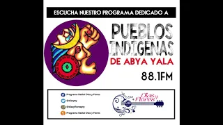 Programa Pueblos Indigenas