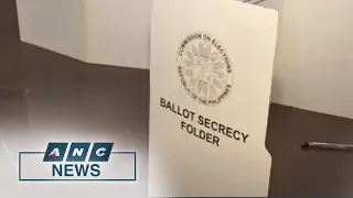 Voting 101: What to expect on Election Day | ANC