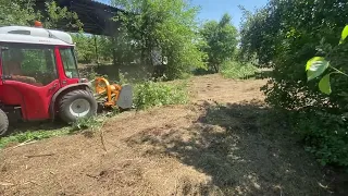 Curatare teren de vegetatie cu tractor Antonio Carraro