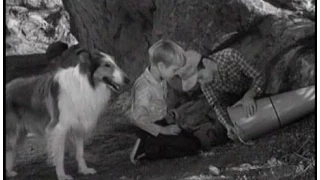 Lassie - Episode #200 - "Space Traveler" - Season 6 Ep. 18 - 01/10/1960