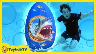 Giant Shark Toy Surprise Egg! Kids Family Fun Summer Party with Inflatable Toys for Children