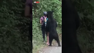 SKY NEWS - Mexico  Woman takes selfie with bear on hiking trail