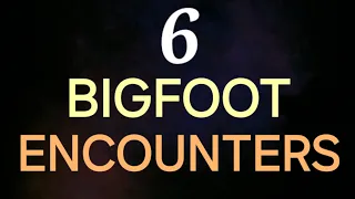 6 BIGFOOT ENCOUNTERS