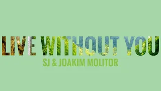 SJ & Joakim Molitor - Live Without You lyrics song by Aalok_7 channel