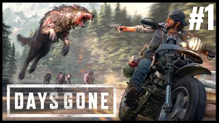 DAYS GONE - O Início de Gameplay, Dublado e Legendado em Português PT-BR