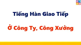 MẪU CÂU GIAO TIẾP TIẾNG HÀN THƯỜNG GẶP Ở CÔNG TY, NHÀ MÁY